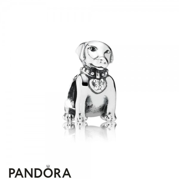 Pandora Jewellery Animals Pets Charms Labrador Charm Clear Cz