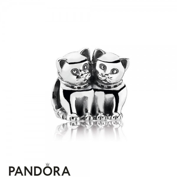 Pandora Jewellery Animals Pets Charms Purrfect Together Kittens Charm