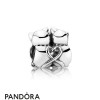Pandora Jewellery Animals Pets Charms Purrfect Together Kittens Charm