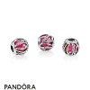 Pandora Jewellery Nature Charms Nature's Radiance Charm Synthetic Ruby Clear Cz
