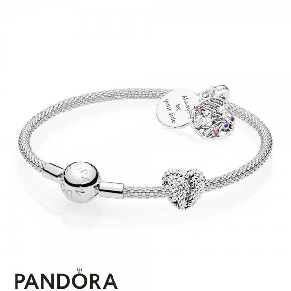 Women's Pandora Jewellery Always By Your Side Bracelet Set