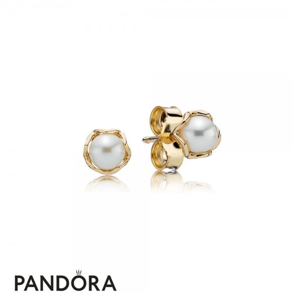Pandora Jewellery Collections Cultured Elegance Stud Earrings Pearl 14K Gold