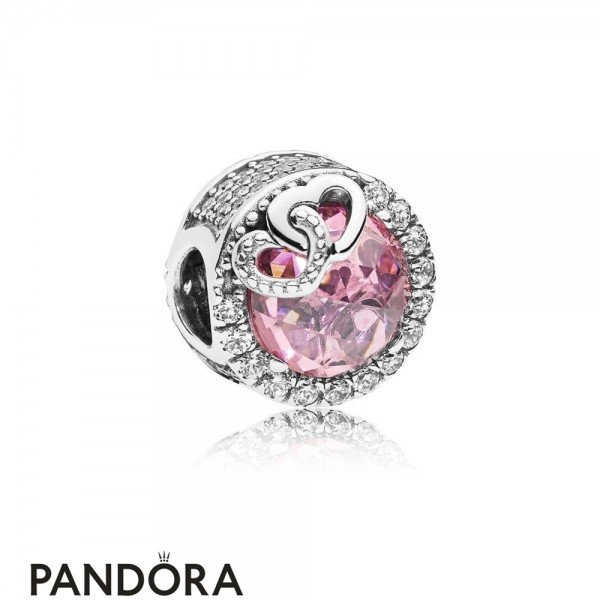 Women's Pandora Jewellery Dazzling Love Bird Stringing Discount