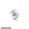 Pandora Jewellery Essence Happiness Charm