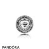 Pandora Jewellery Essence Passion Charm