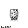 Pandora Jewellery Essence Passion Charm