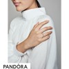 Women's Pandora Jewellery Exotic Stones & Stripes Ring Pandora Jewellery Shine