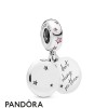 Women's Pandora Jewellery Forever Sisters Dangle Charm