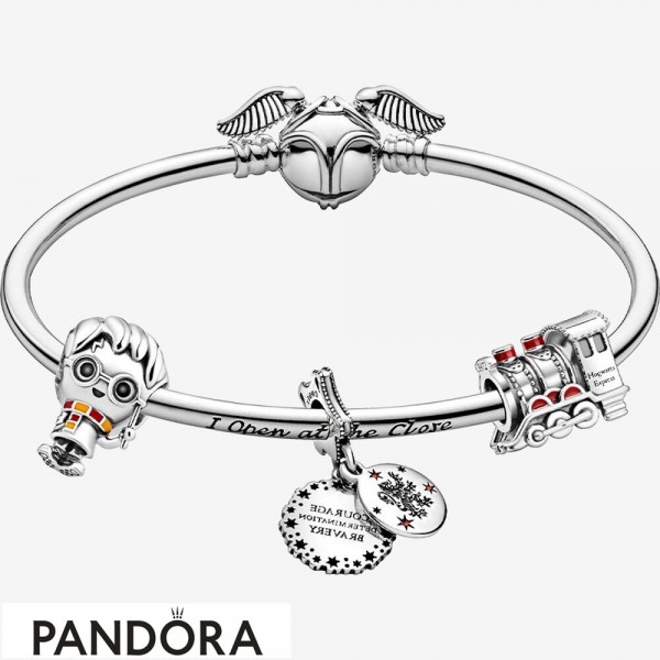 Women's Pandora Jewellery Harry Potter Magic Adventure Bracelets