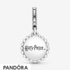 Women's Pandora Jewellery Harry Potter Slytherin Dangle Charm