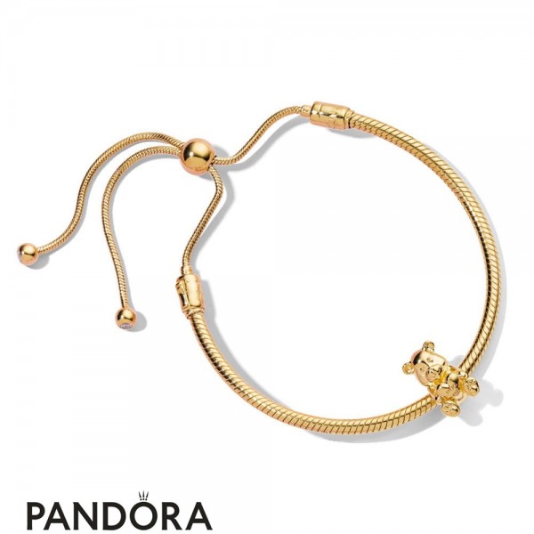 Women's Pandora Jewellery Lifelong Companionship