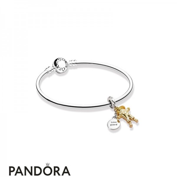 Women's Pandora Jewellery Love Guard Bracelets