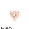 Pandora Jewellery Rose Follow Your Heart Essence Spacer Charm