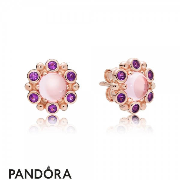 Pandora Jewellery Rose Heraldic Radiance Earring Studs