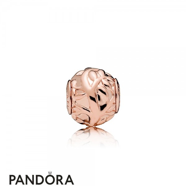 Pandora Jewellery Rose Love Makes A Family Essence Charm