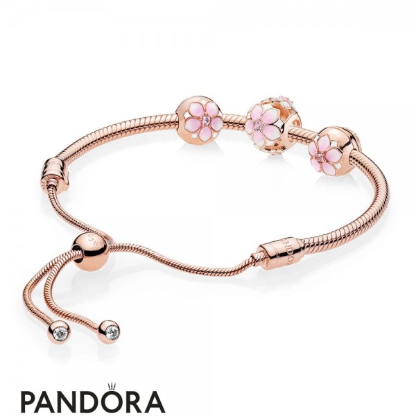 Pandora Jewellery Rose Magnolia Bracelet Gift Set