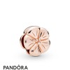 Pandora Jewellery Rose Pandora Jewellery Rose Reflexions Classic Flower Clip Charm