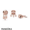 Pandora Jewellery Rose Spiritual Dream Catcher Charm