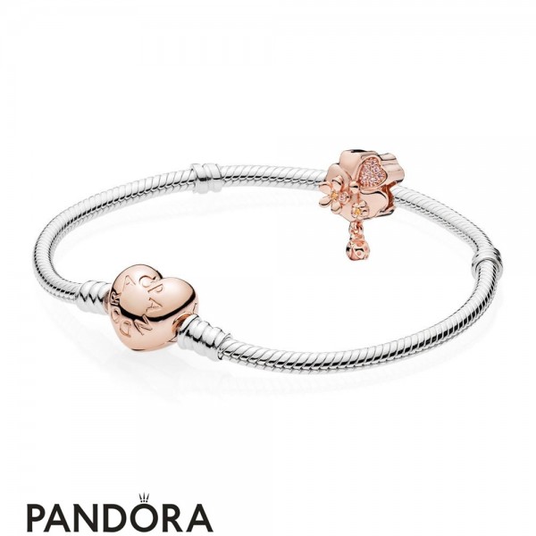 Pandora Jewellery Rose Wildflower Meadow Gift Set