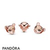 Pandora Jewellery Rose Enamel Black Cubic Zirconia Sparkling Lion Princess Charm