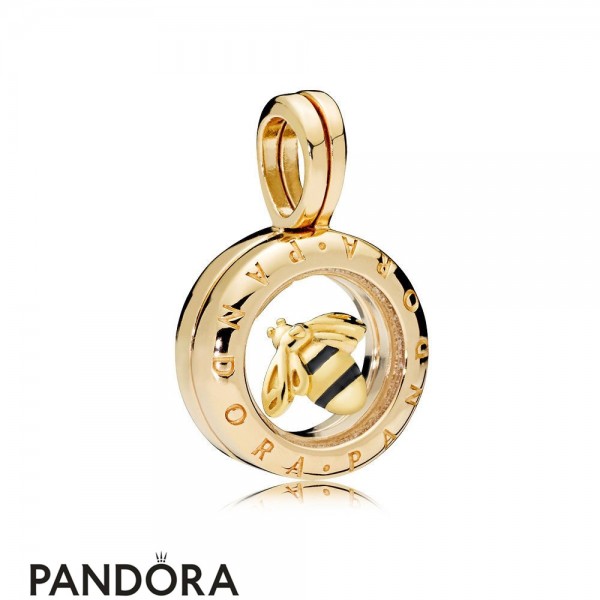 Pandora Jewellery Shine Buzzing Floating Locket Charm Set