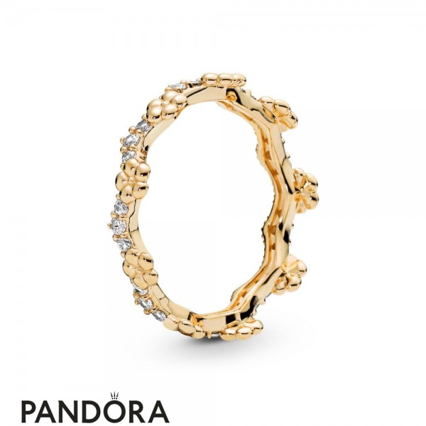 Pandora Jewellery Shine Flower Crown Ring