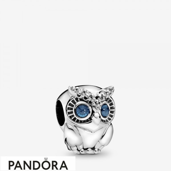 Women's Pandora Jewellery Sparkling Owl Charm