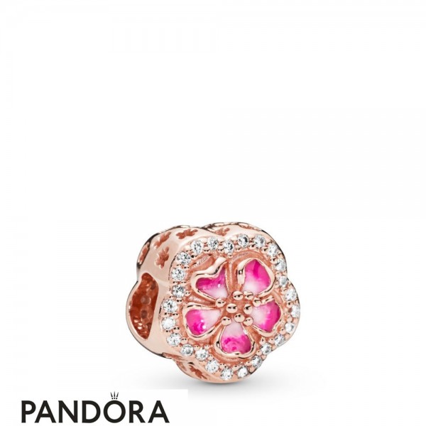 Women's Pandora Jewellery Sparkling Peach Blossom Flower Charm