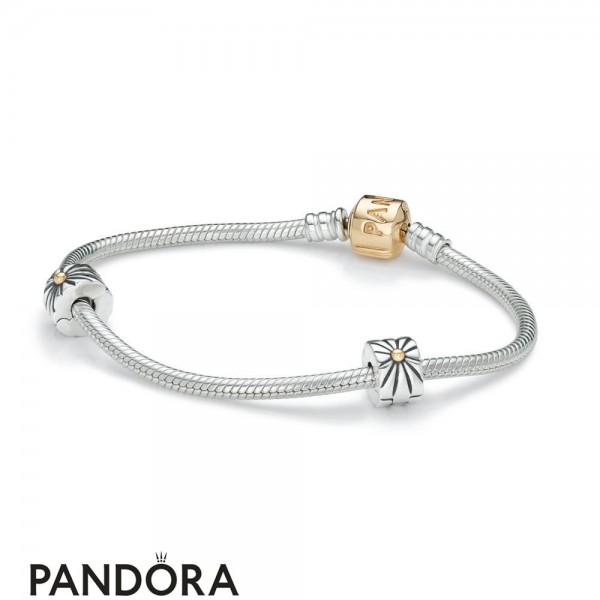 Women's Pandora Jewellery Iconic Pandora Jewellery Holiday Gift Two Tone Clasp Bracelet