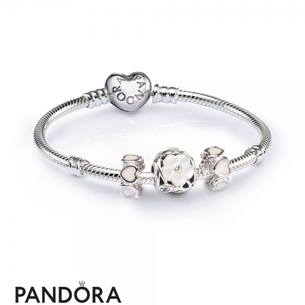 Women's Pandora Jewellery Luminous Floral Openwork Charm Bracelet Set
