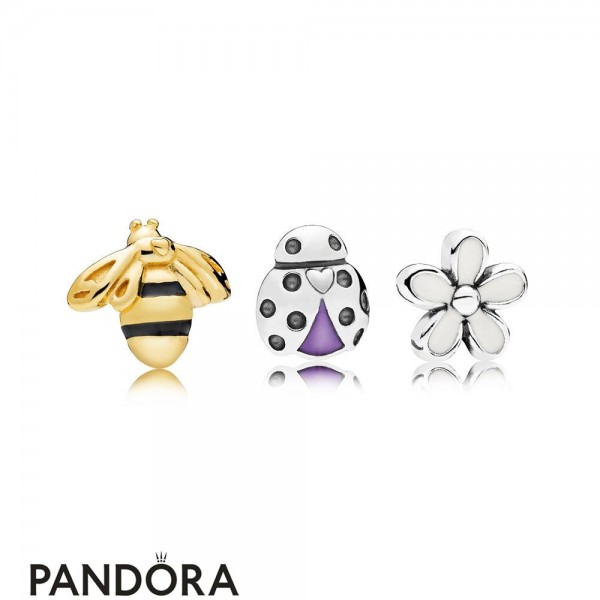 Women's Pandora Jewellery Magical Meadow Petite Charm Pack