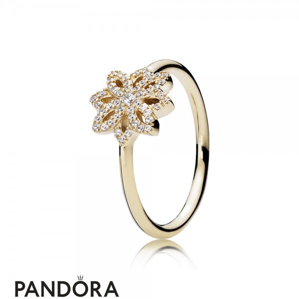 Pandora Jewellery Rings Lace Botanique Ring 14K Gold