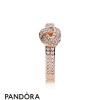 Pandora Jewellery Rings Sparkling Love Knot Ring Pandora Jewellery Rose